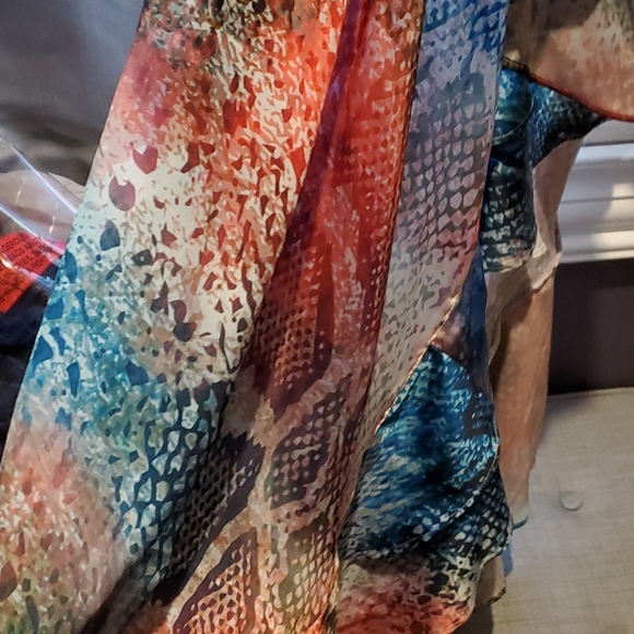 Rainbow snake skin - Picture 3 of 3